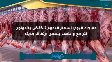 مفاجأة اليوم: أسعار اللحوم تنخفض والدواجن تتراجع والذهب يسجل ارتفاعًا جديدًا